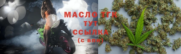 соль ск Дмитриев