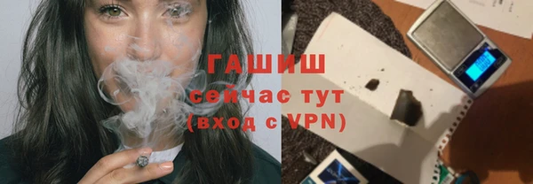 соль ск Дмитриев