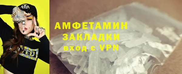 соль ск Дмитриев