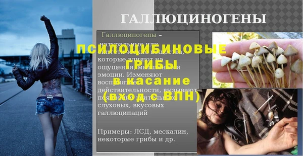 герыч Дмитров