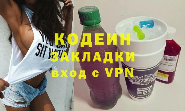 соль ск Дмитриев