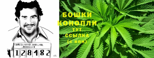 соль ск Дмитриев
