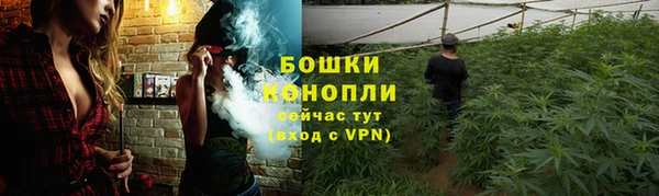 первитин Дмитровск