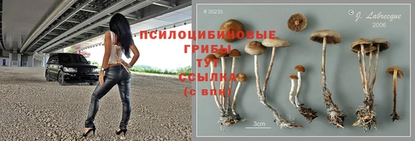 первитин Дмитровск